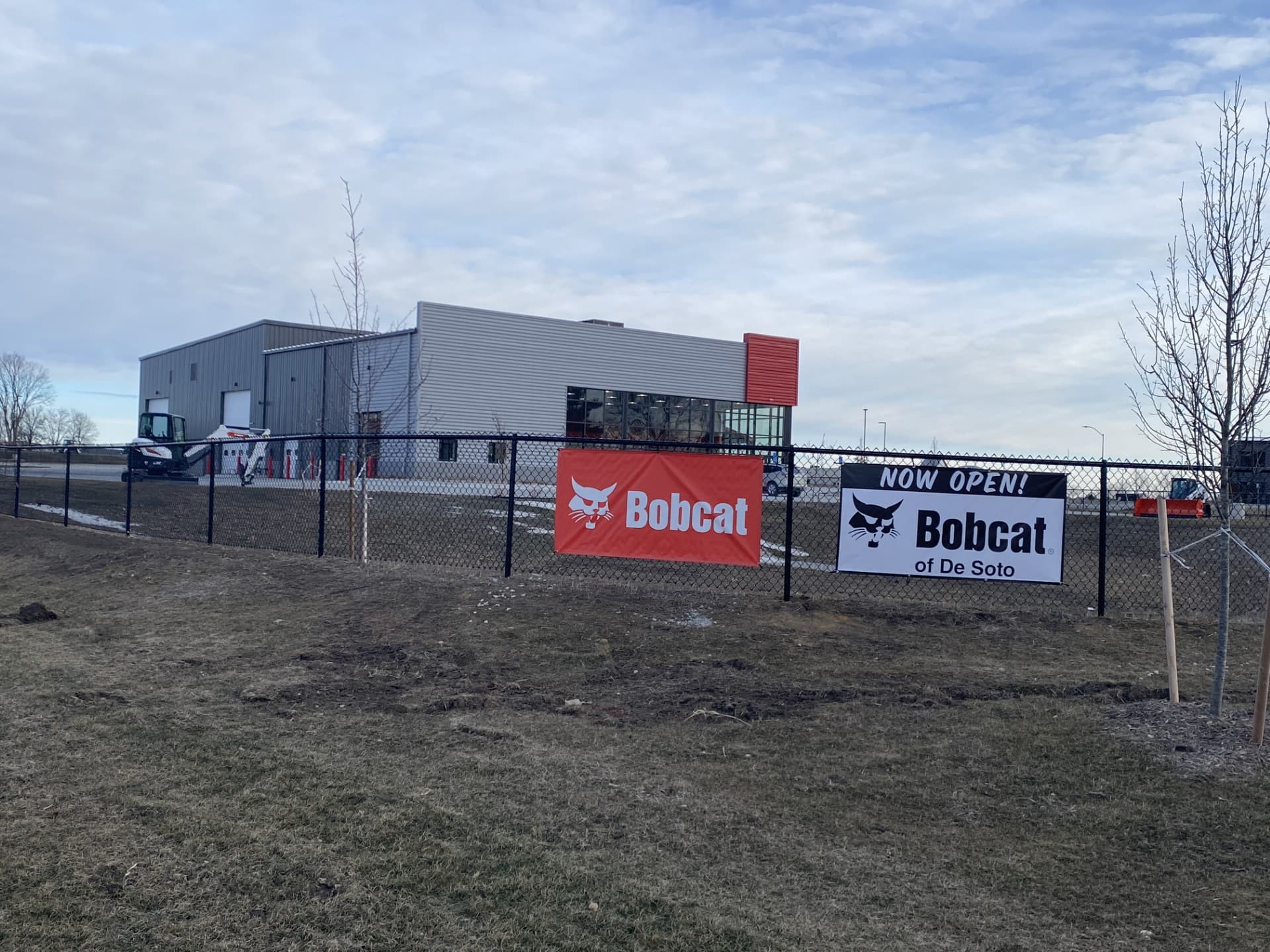 Bobcat of De Soto