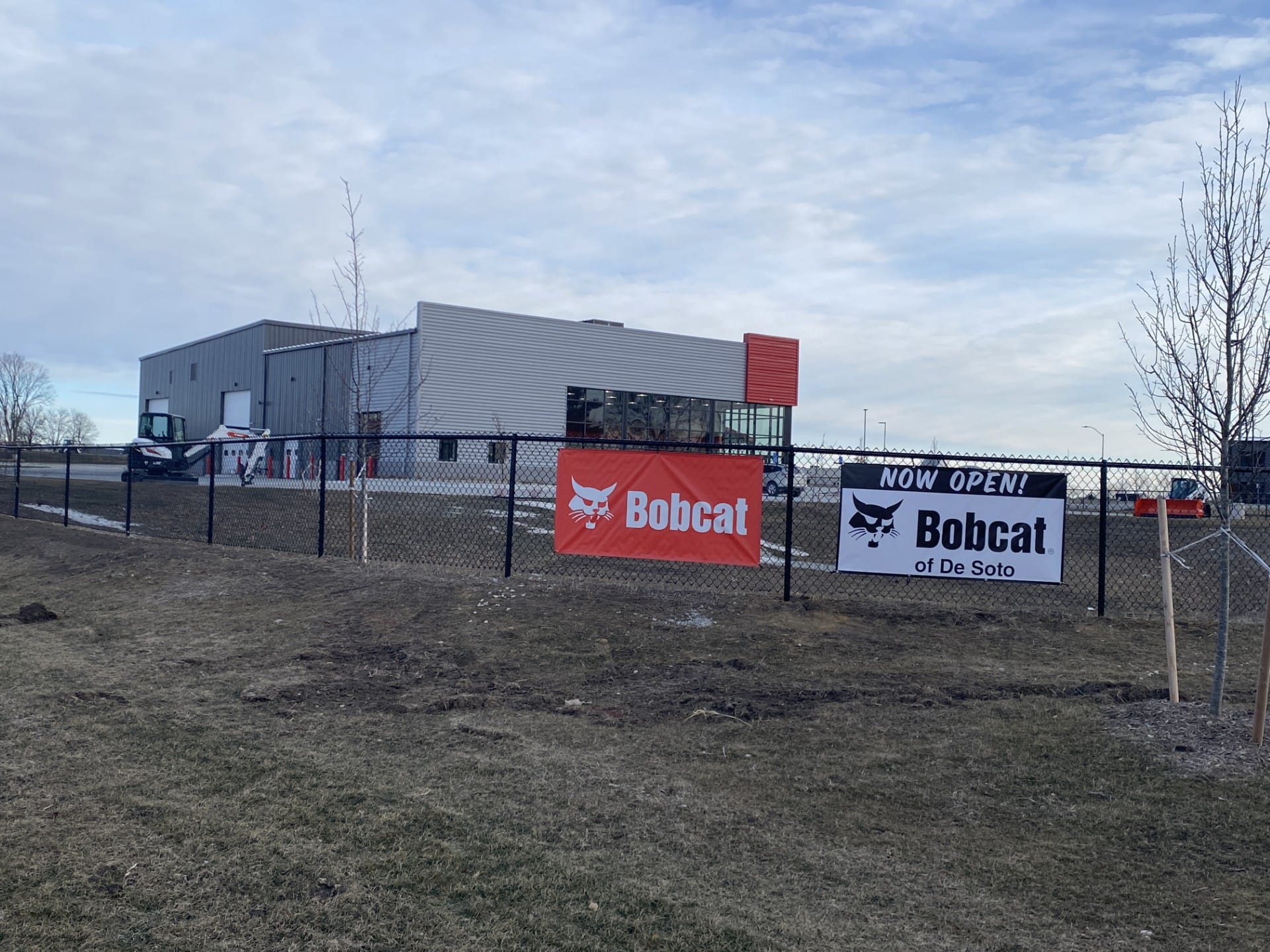 Bobcat of De Soto